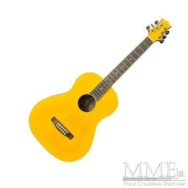 Acoustic Guitar