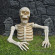 Life Sized Buried Skeleton