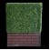 Low Box Hedge