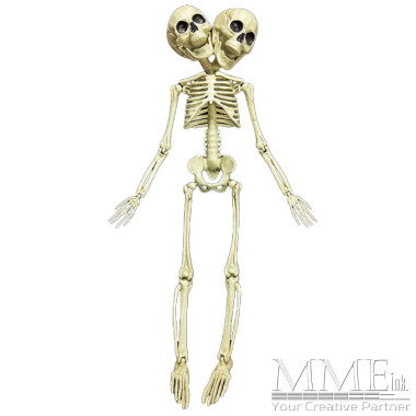 Twin Headed Skeleton